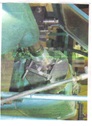 imagen2.jpg